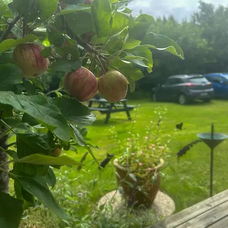 Family House With Large Garden By Ho Bay